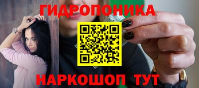 хмурый Гусев