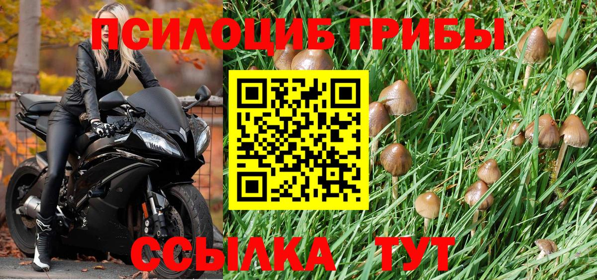 Псилоцибиновые грибы GOLDEN TEACHER Новосибирск