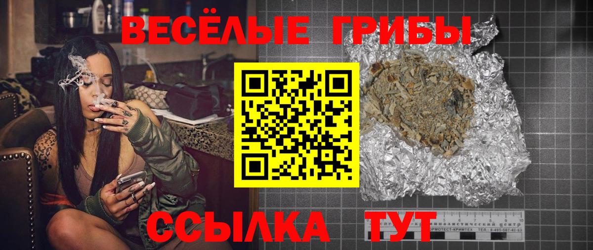 Галлюциногенные грибы ЛСД  Вход с VPN  Новосибирск  Галлюциногенные грибы GOLDEN TEACHER 